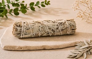 Smudge Stick - White Sage (10cm)