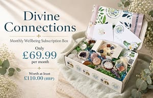 Divine Connections - Subscription Box