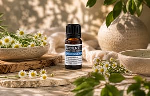Chamomile Roman (D) Essential Oil (10ml)