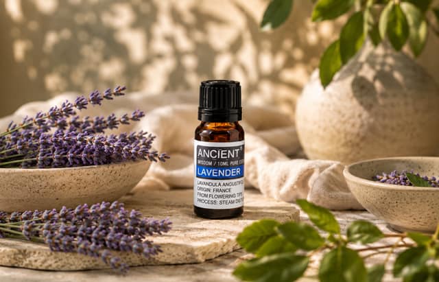 Lavender Essential Oil (10ml)